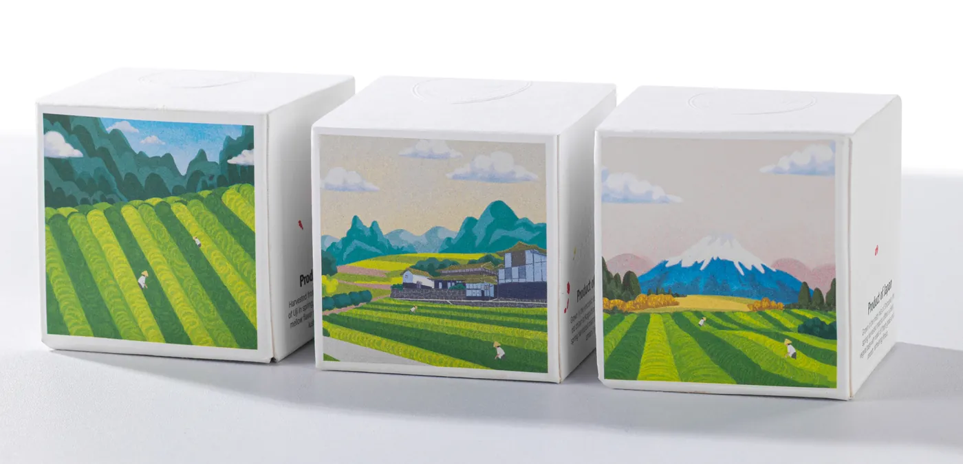 Three illustrated M'atelier gift boxes side by side