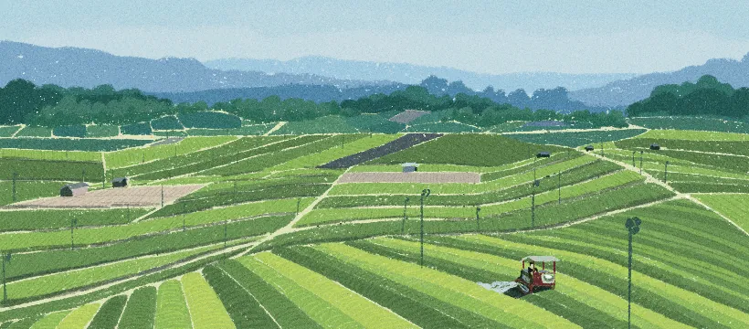 Illustrated tea fields rolling towards blue mountains
