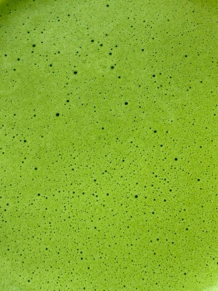 Close-up of the fine foam on a whisked bowl of matcha