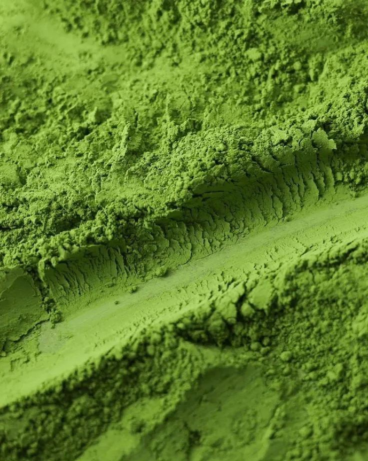 Close-up of fine green matcha powder